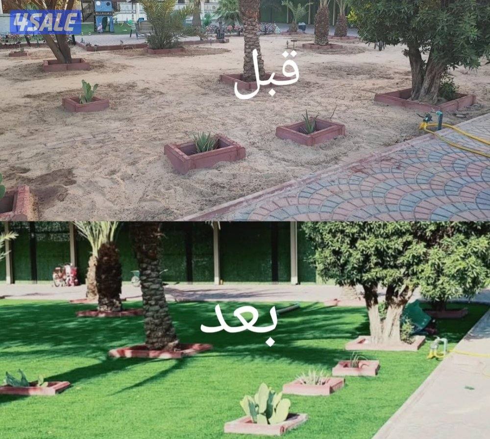 تنسيق حدائق وقص الشجر الضخمه4