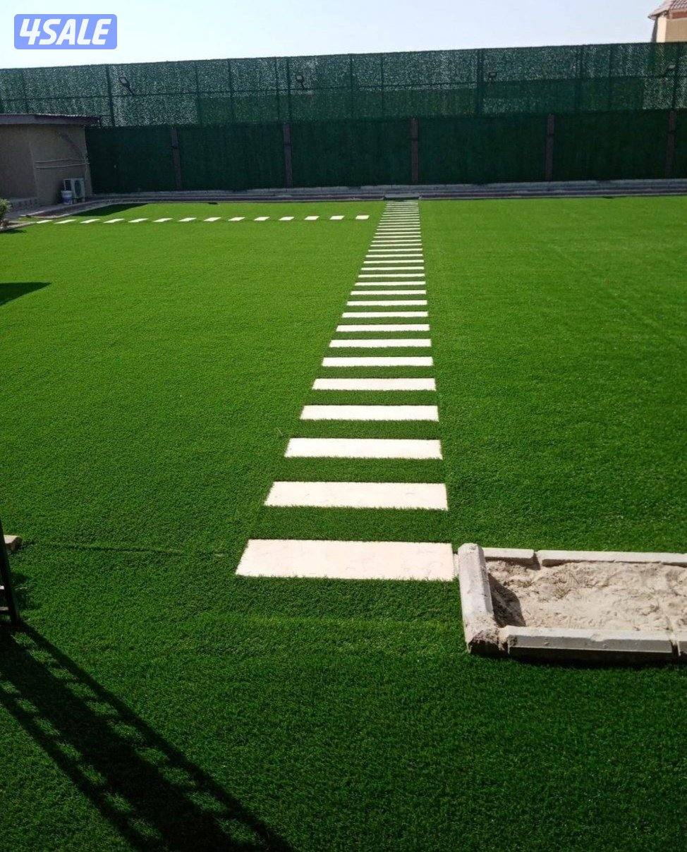 تنسيق حدائق وقص الشجر الضخمه7