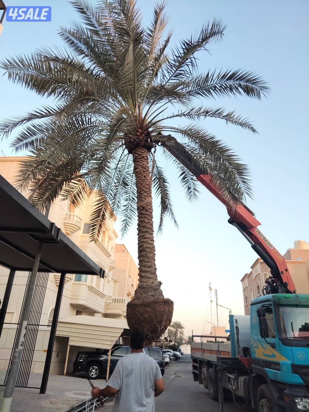 ابو علي لتنسيق الحدائق وتركيب الثيل الصناعي1