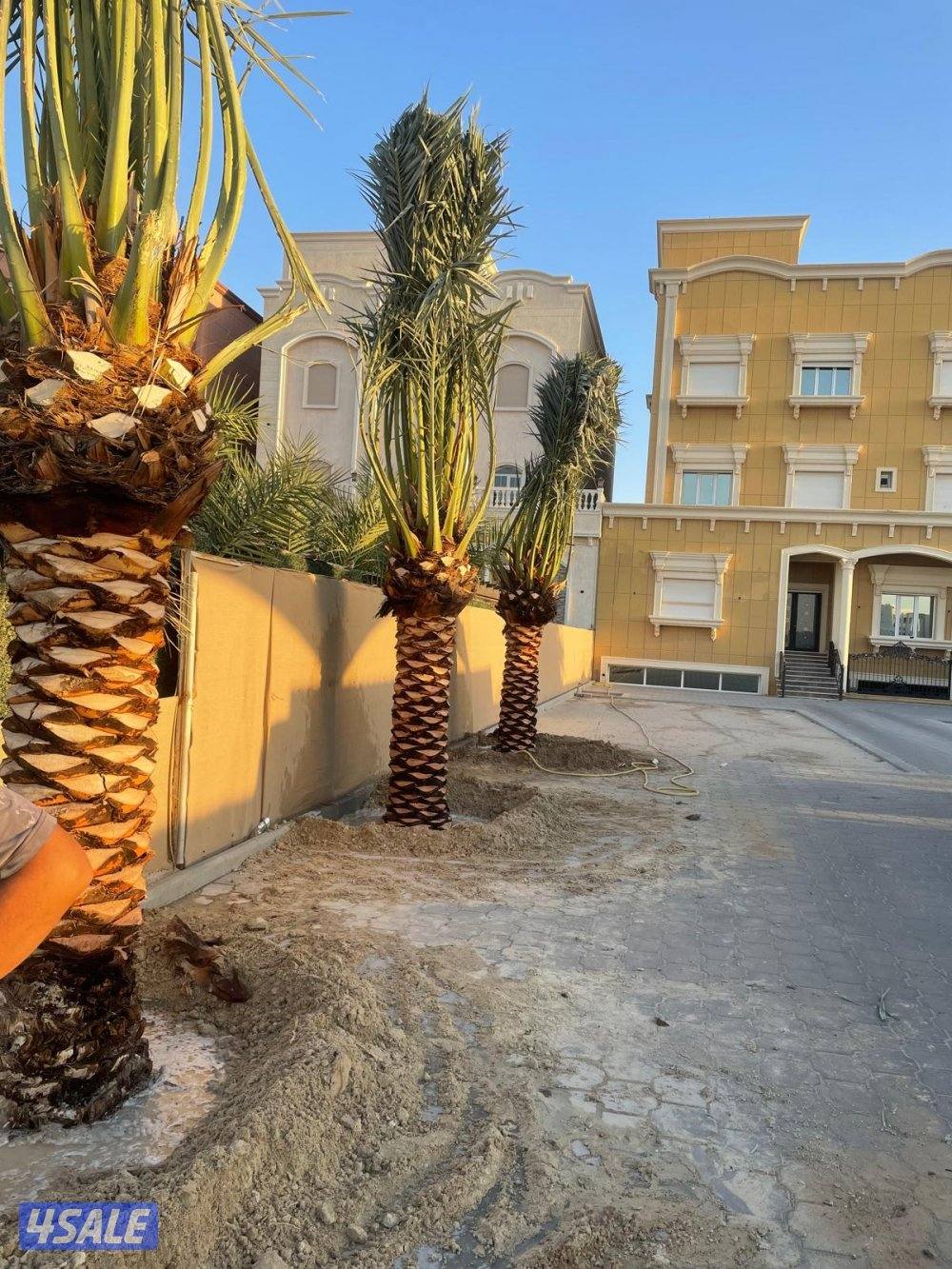 ابو علي لتنسيق الحدائق وتركيب الثيل الصناعي8