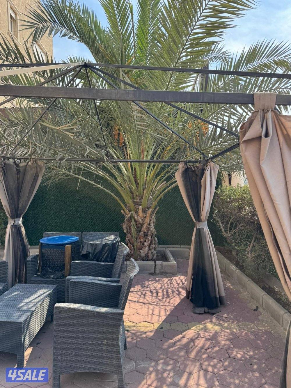 ابو علي للنخيل والزراعه6