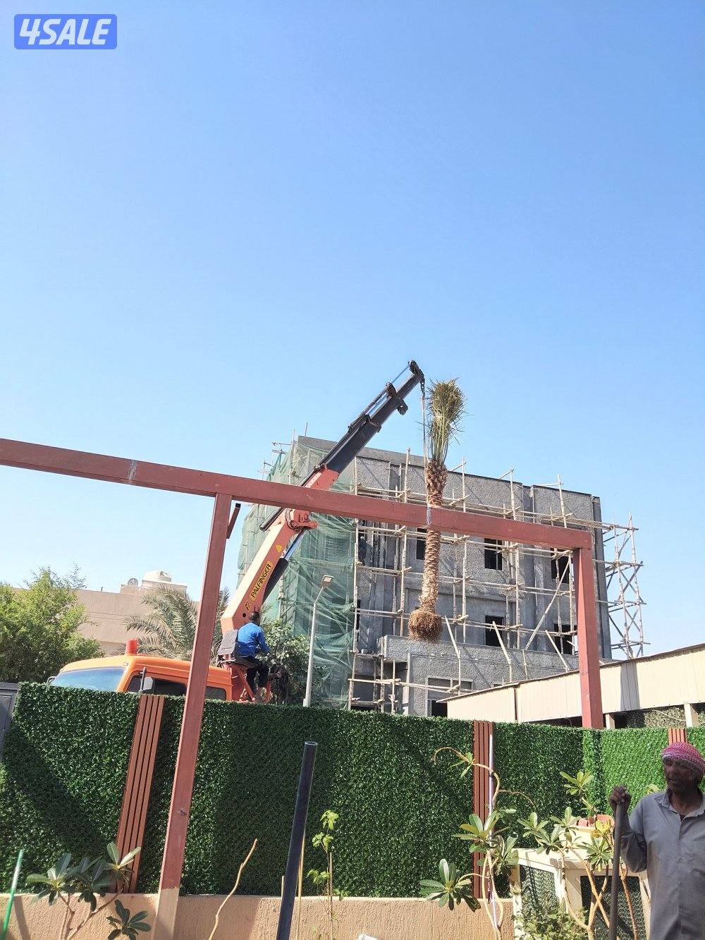 ابو علي للنخيل والزراعه8