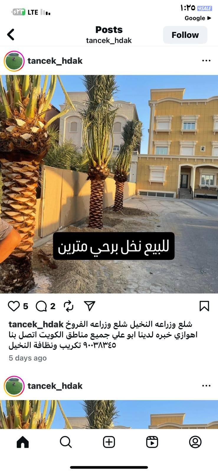 ابو علي للنخيل والزراعه10