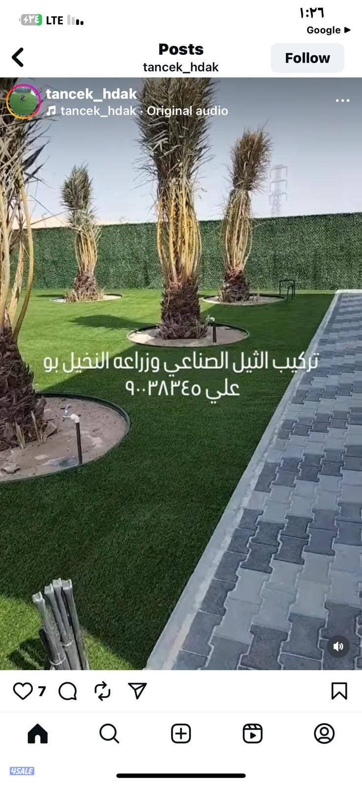 ابو علي للنخيل والزراعه11