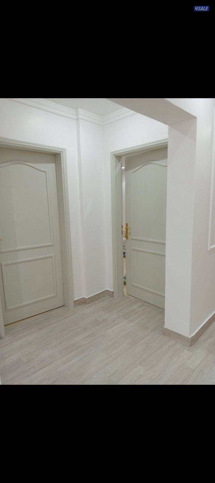 جميع انواع الاصباغ طوف زيت لمع مطفي غرفه ايطاليا روتكس عزل1