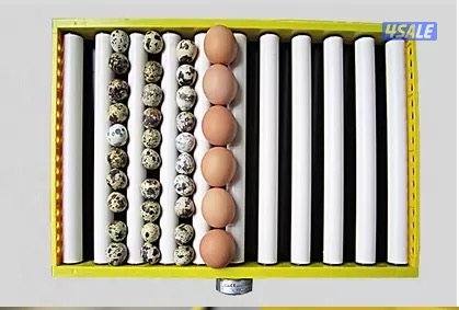 فقاسات الطاقه الشمسيه - فقاسات العربي1