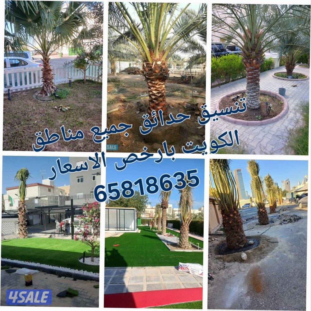 تنسيق وتنفيذ  وتصميم الحداق الدخليه والخارجيه شامله9