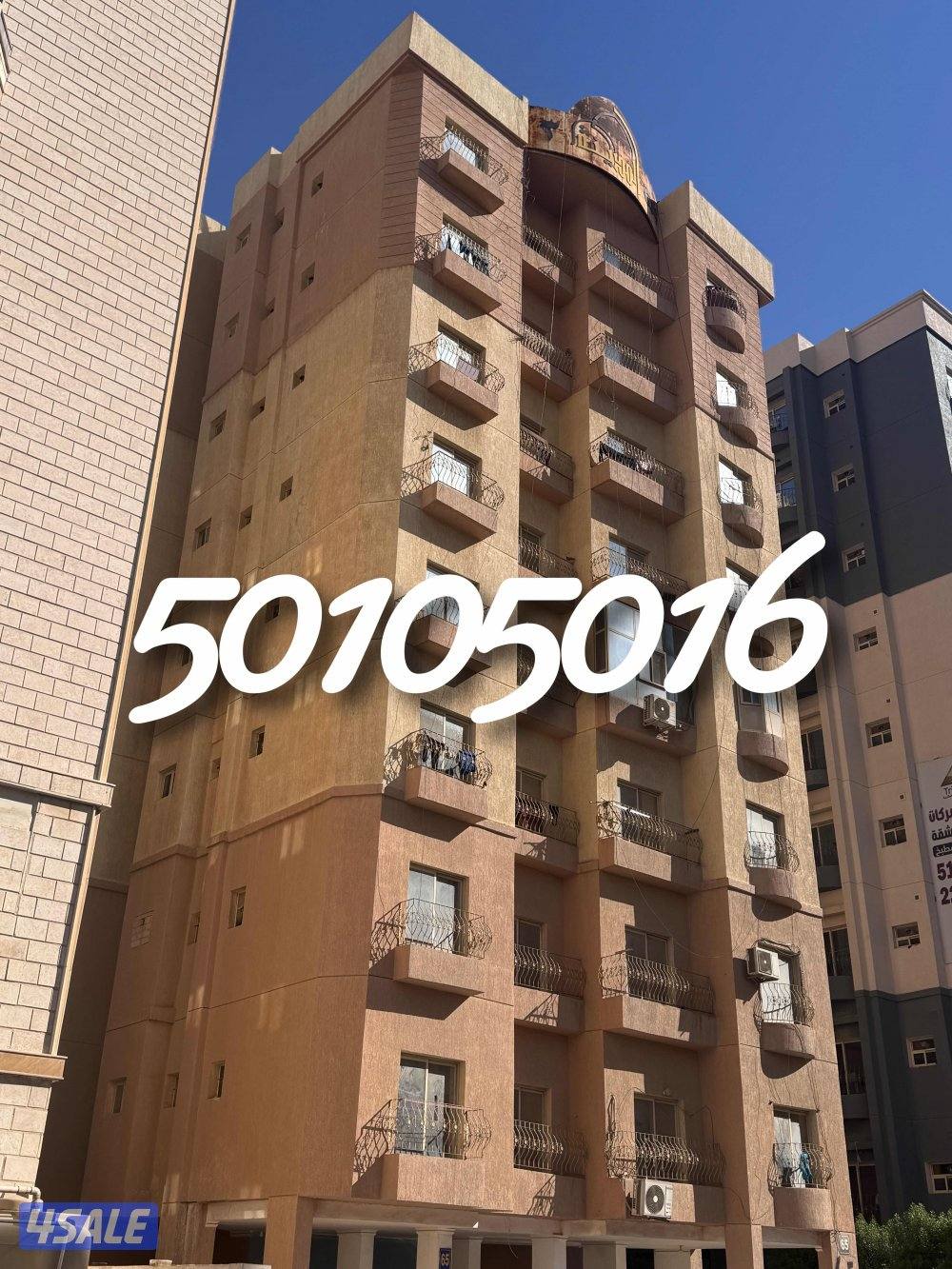 🔶🔶 المهبوله 🔶🔶0