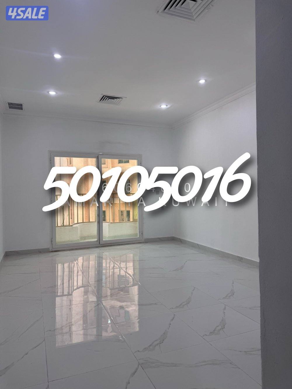 🔶🔶 المهبوله 🔶🔶0