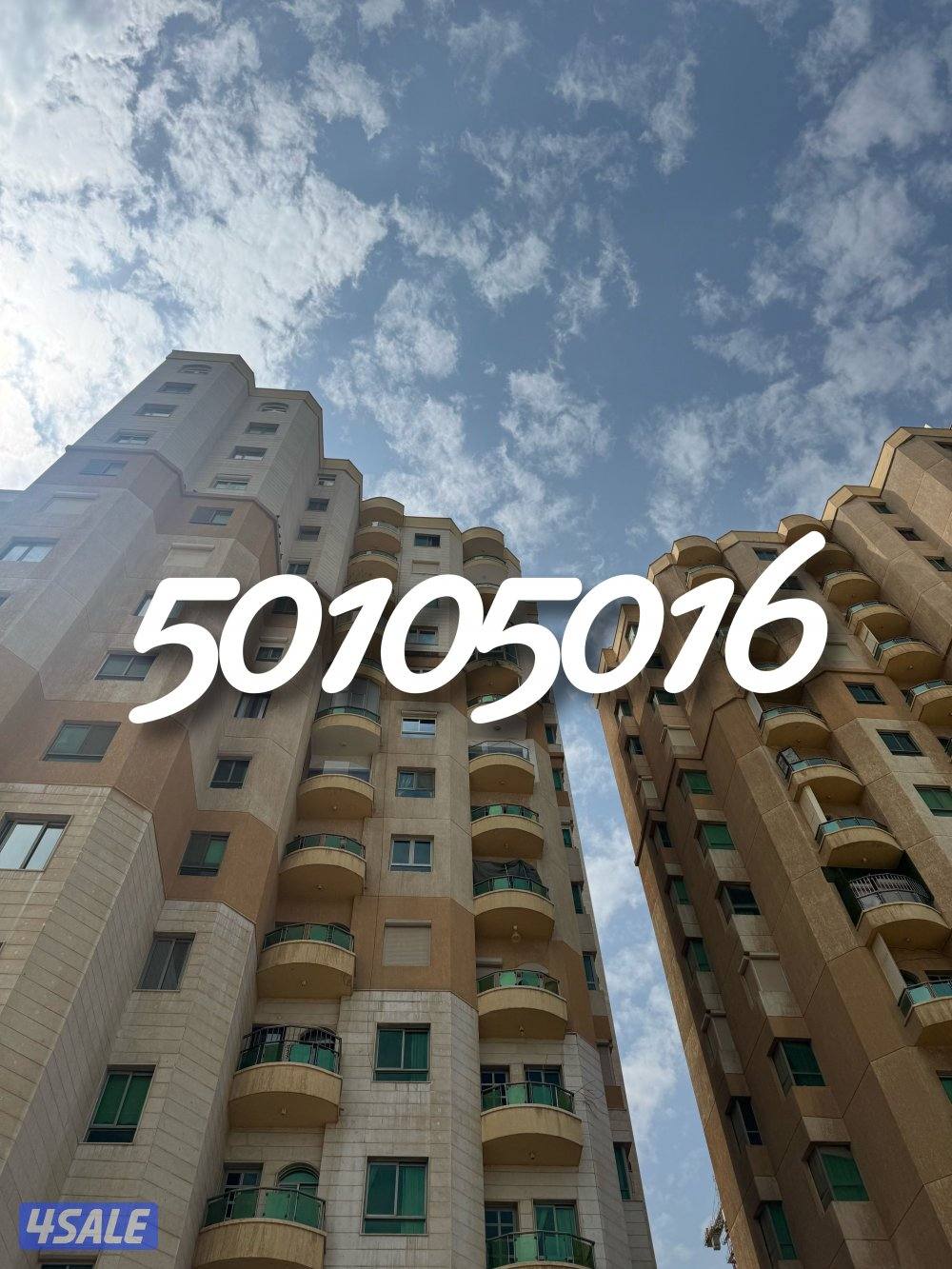 🔶🔶 بنيدالقار 🔶🔶0