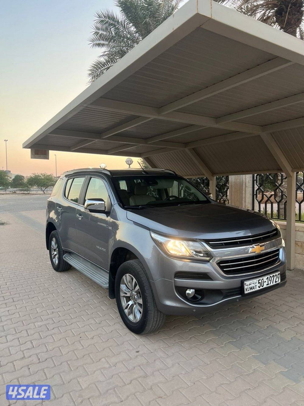 موديل 2018 صبغ الوكاله LTZ1