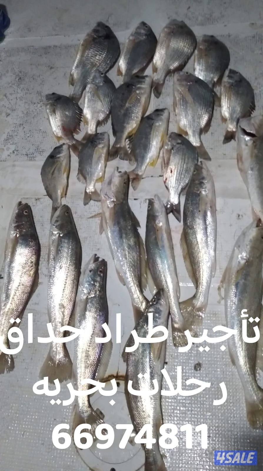 ايجار قوارب حداق تاجير طراد رحلات بحرية1