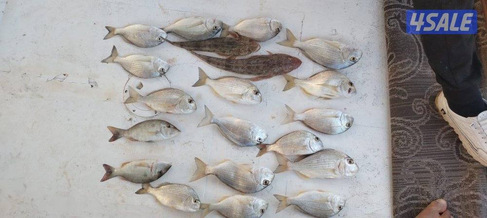 ايجار قوارب حداق تاجير طراد رحلات بحرية7