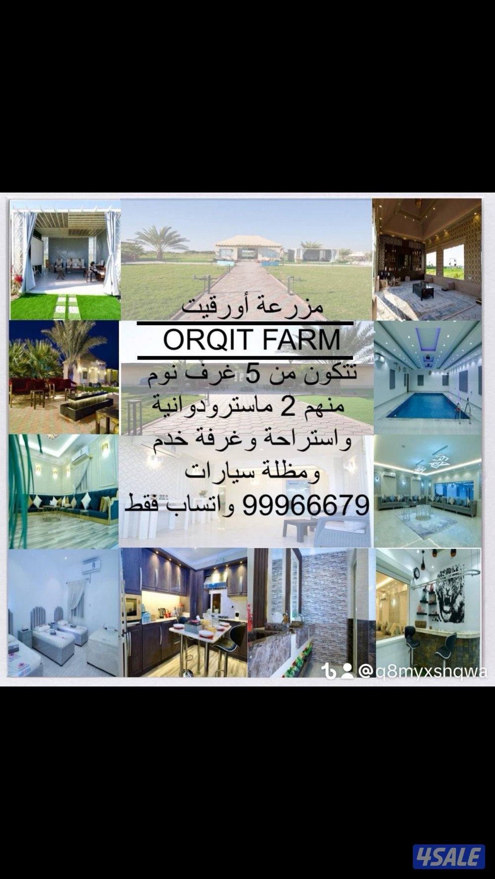 للإيجار مزرعه يومي وسبوعي بالعبدلي10