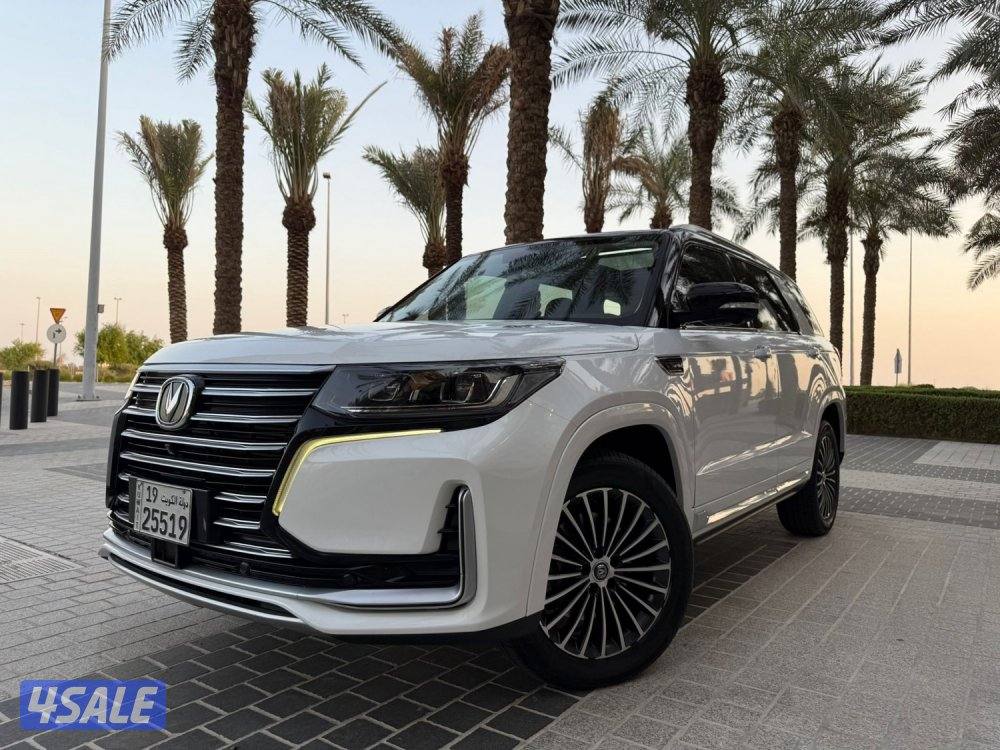 جيب شانغان //  CS  95  // 2021  //1