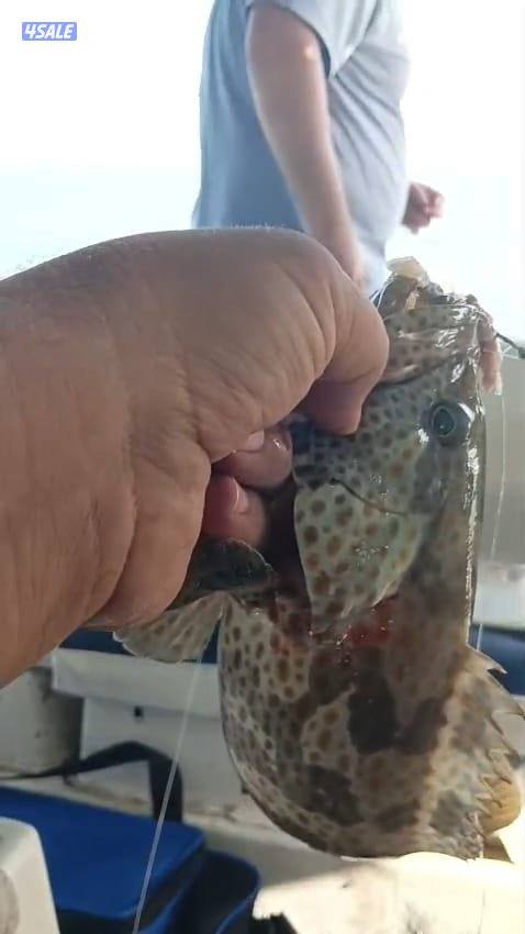 تاجير قوارب صيد حداق ايجار طراد رحلات بحرية1