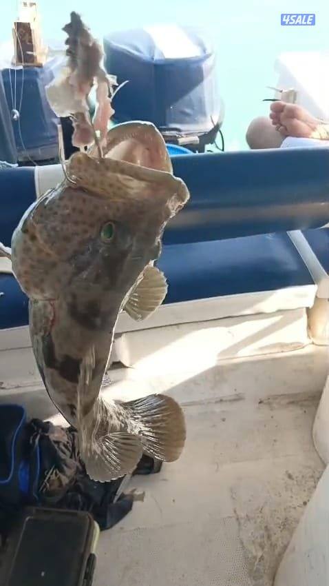 تاجير قوارب صيد حداق ايجار طراد رحلات بحرية2