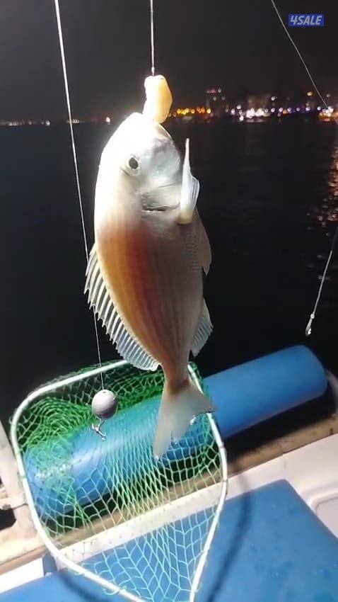 تاجير قوارب صيد حداق ايجار طراد رحلات بحرية7