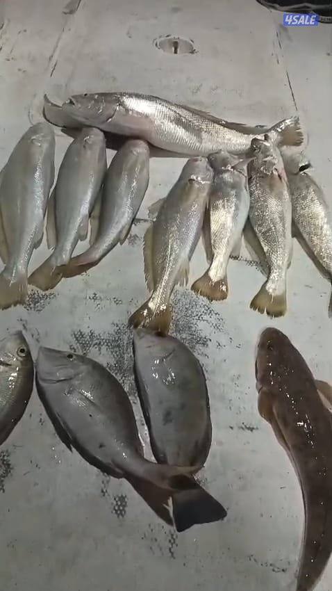 تاجير قوارب صيد حداق ايجار طراد رحلات بحرية6