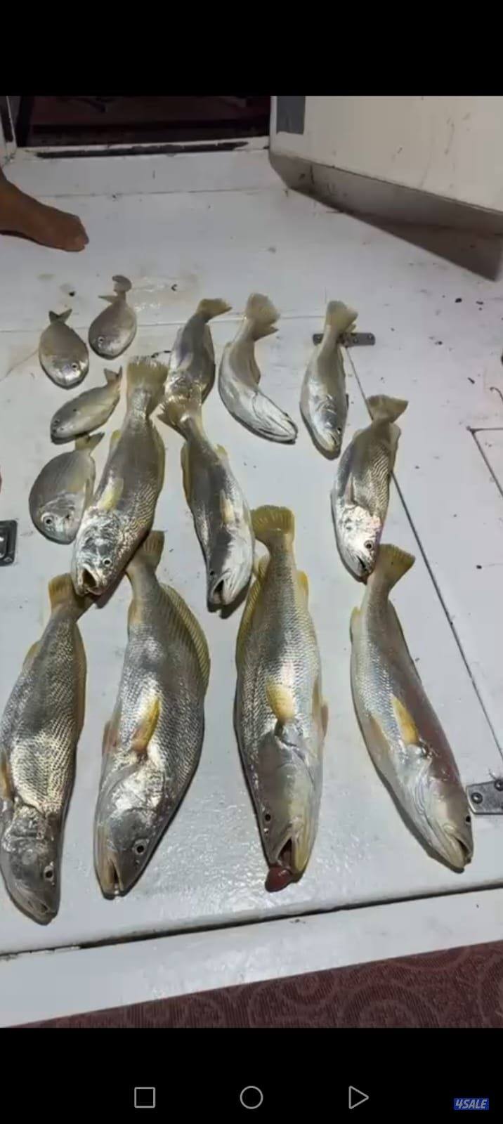 تاجير قوارب صيد حداق ايجار طراد رحلات بحرية12