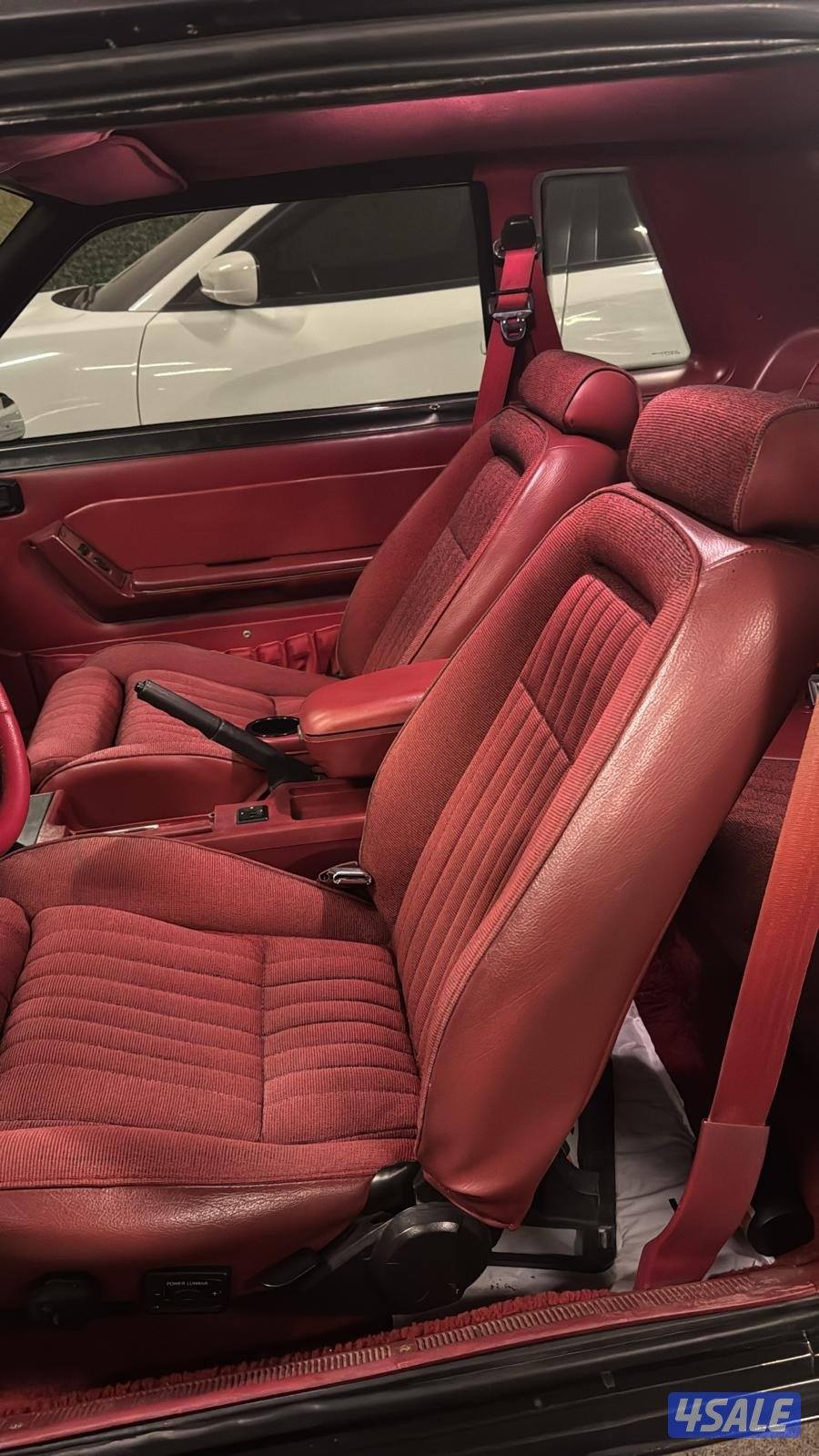 موستنق LX بودبه 903