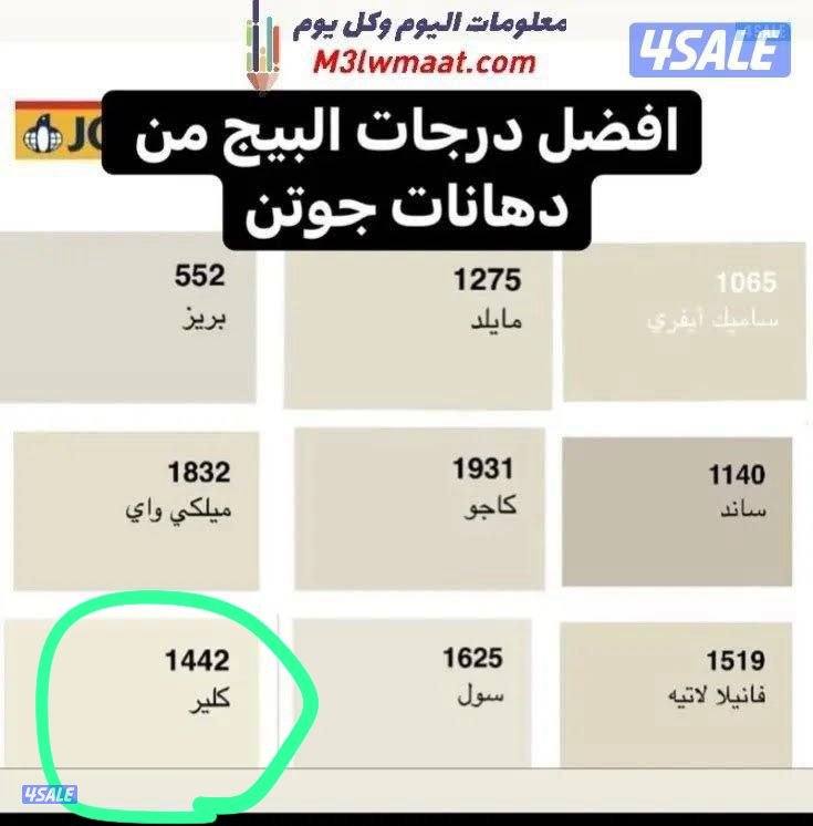 اصباغ وديكورات ابويوسف3