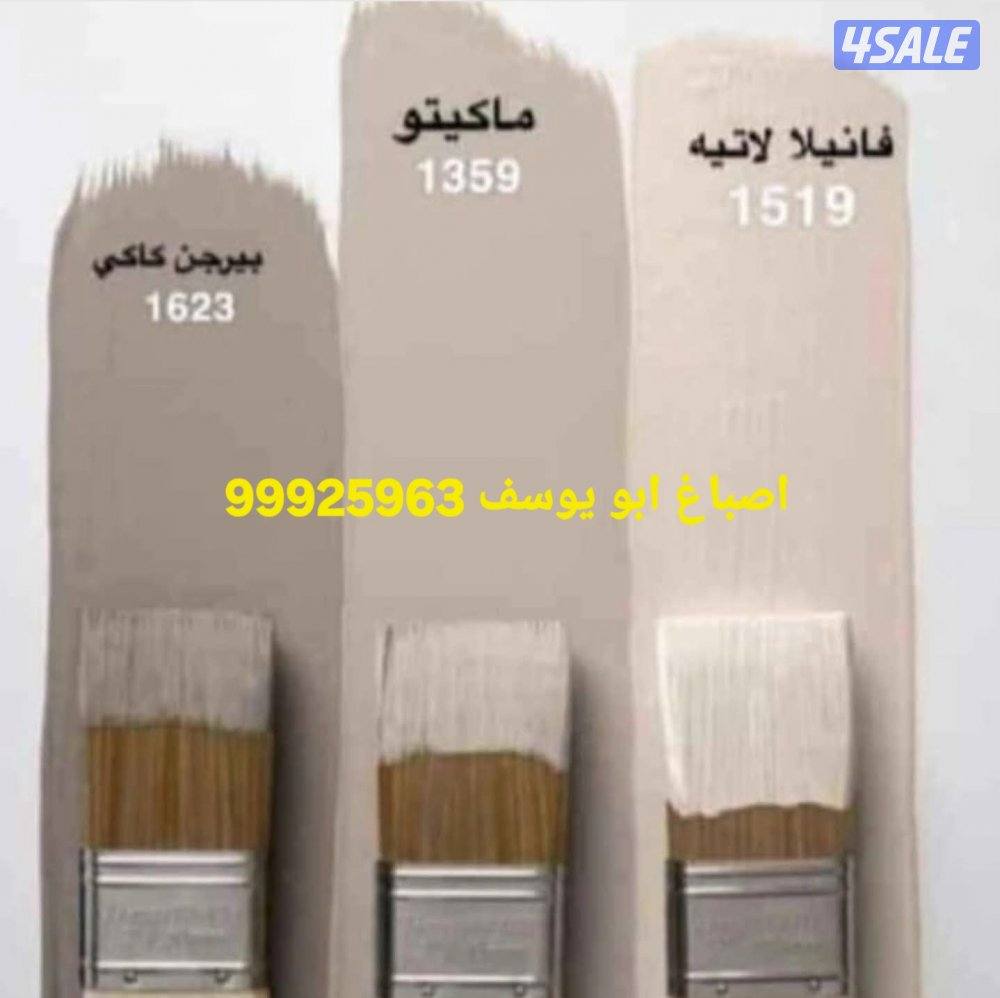 اصباغ وديكورات ابويوسف6