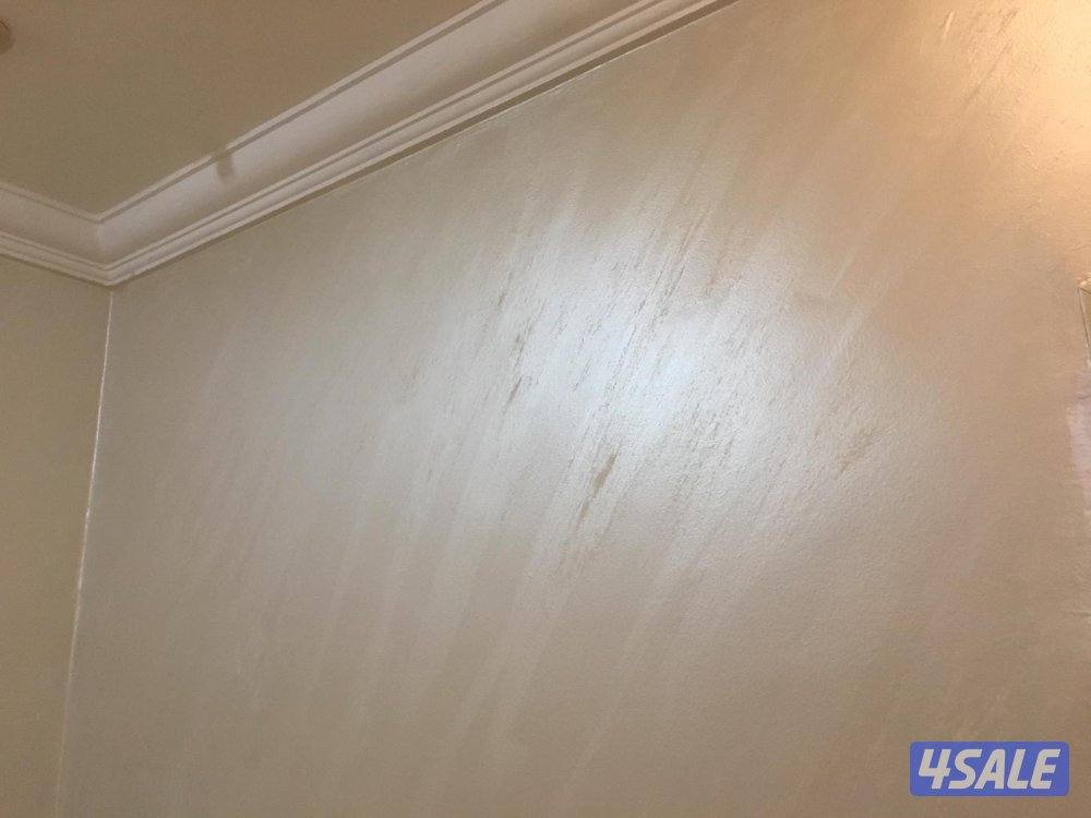 اصباغ ابو احمد1