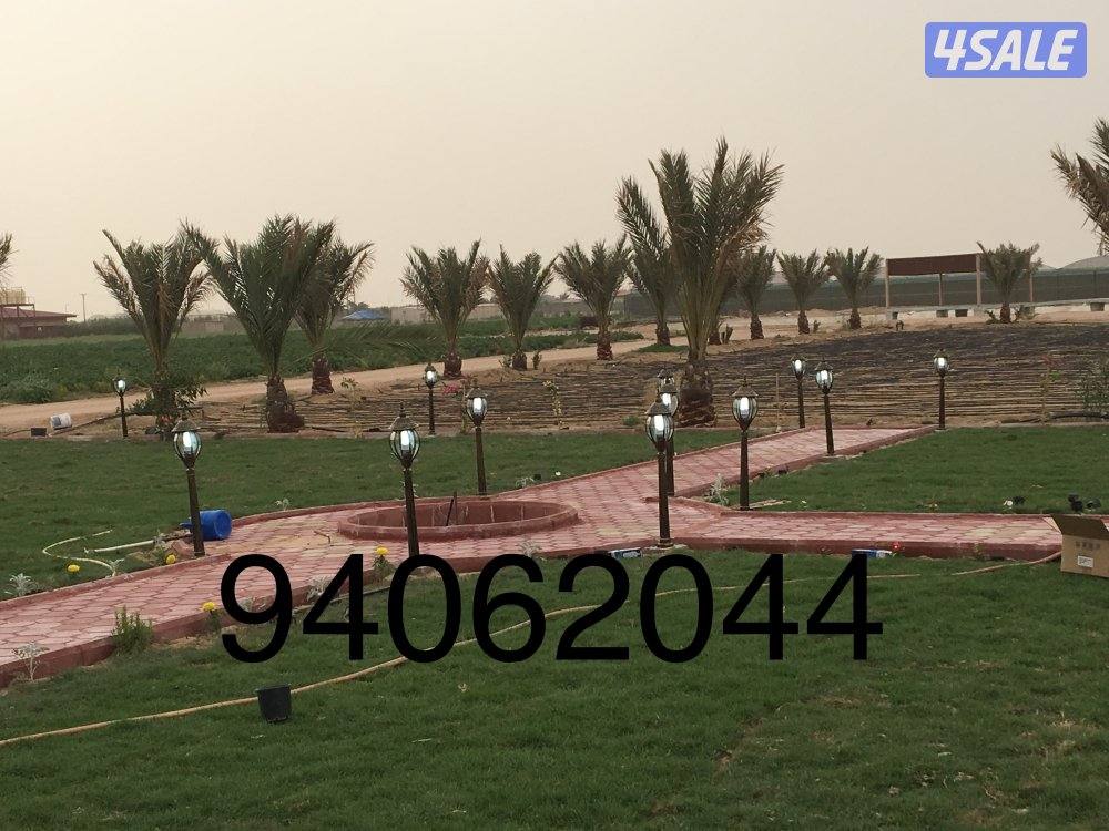 المهندس لتنسيق وتصميم الحدائق وتركيب شبكات ري بلاط متداخل تيل صناعي طب9