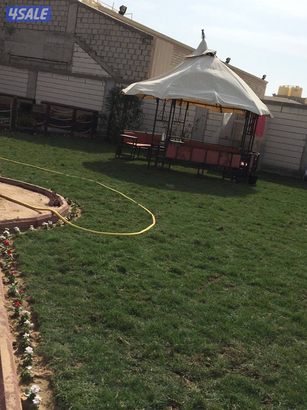 المهندس لتنسيق وتصميم الحدائق وتركيب شبكات ري بلاط متداخل تيل صناعي طب13