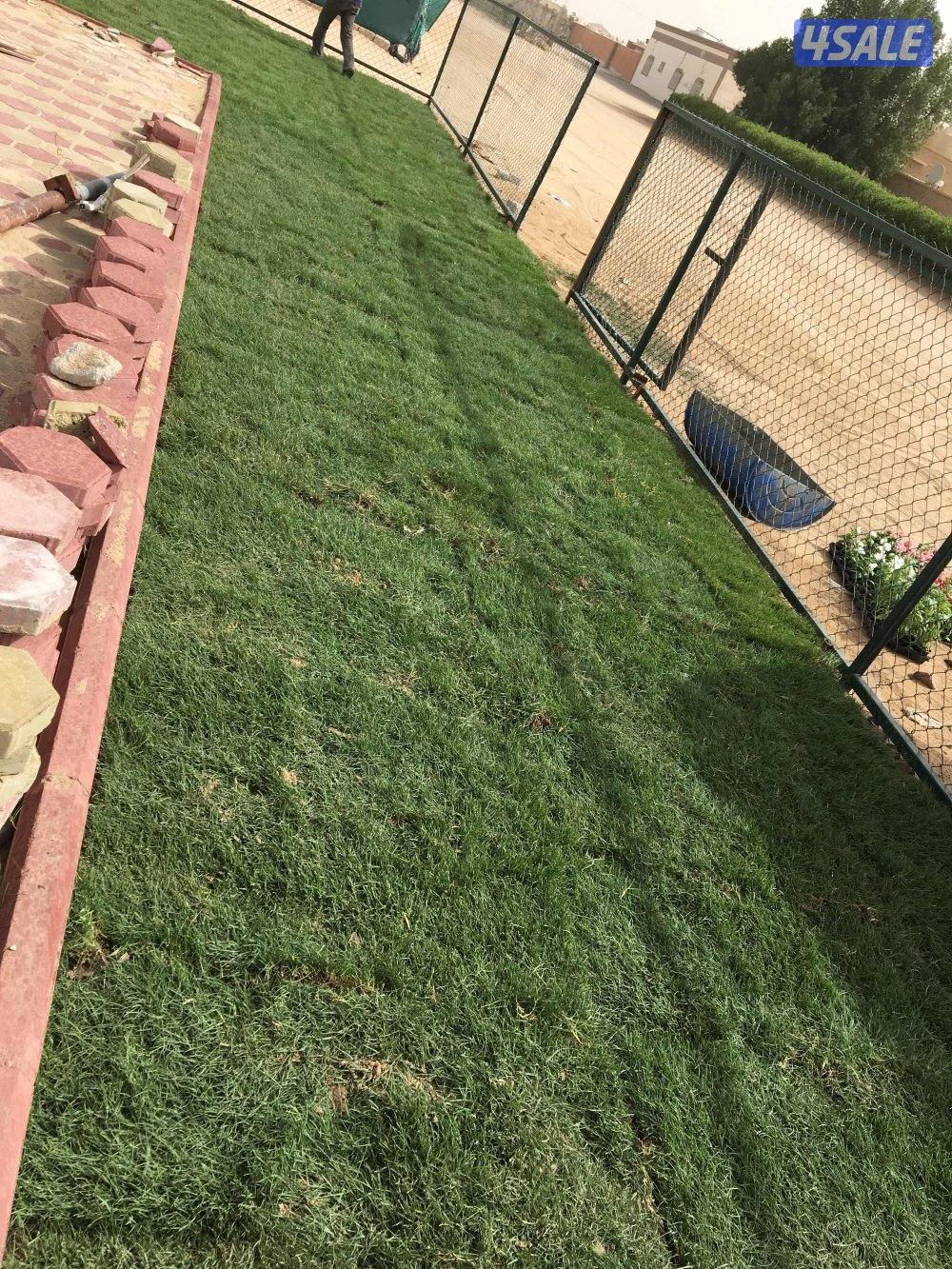 المهندس لتنسيق وتصميم الحدائق وتركيب شبكات ري بلاط متداخل تيل صناعي طب15