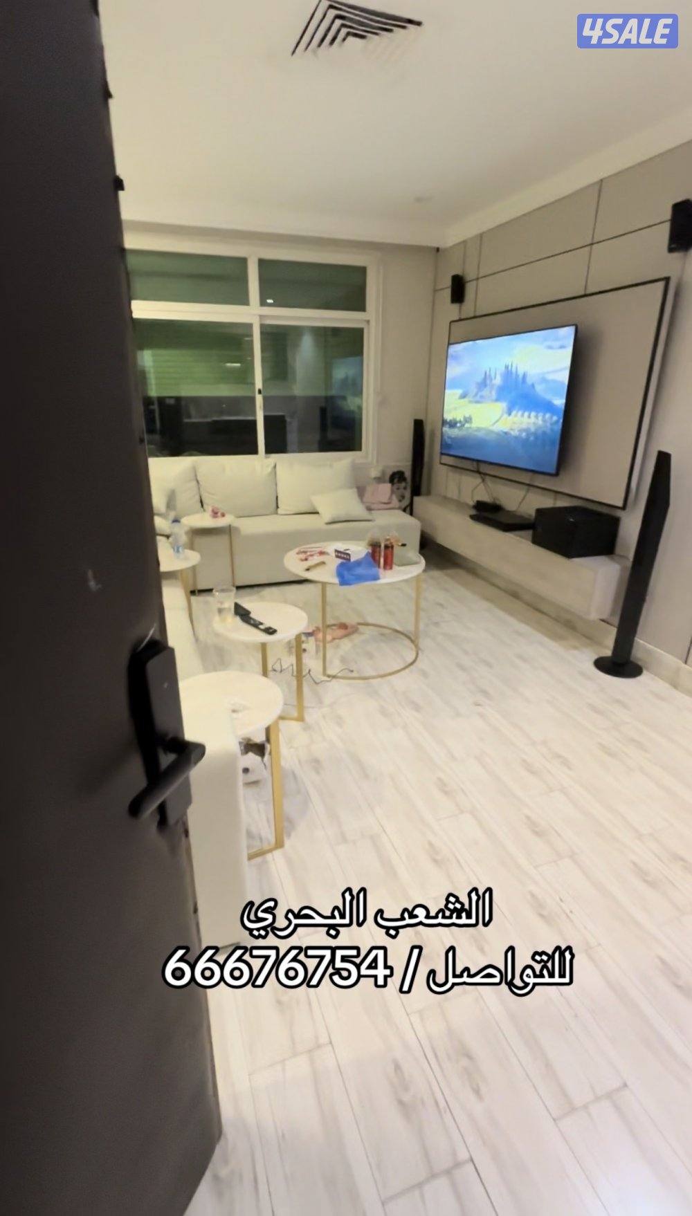 شقه خلو الشعب البحري ويوجد استوديوهات غرفه حمام مطبخ تحضيري0