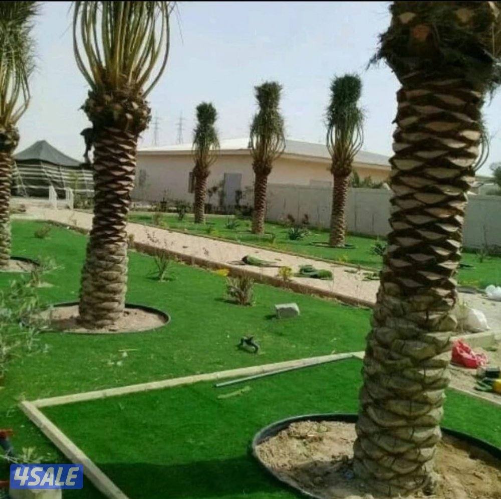 تنسيق حدائق بأسعار مناسبة9