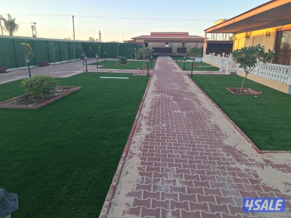 تنسيق حدائق بأسعار مناسبة14