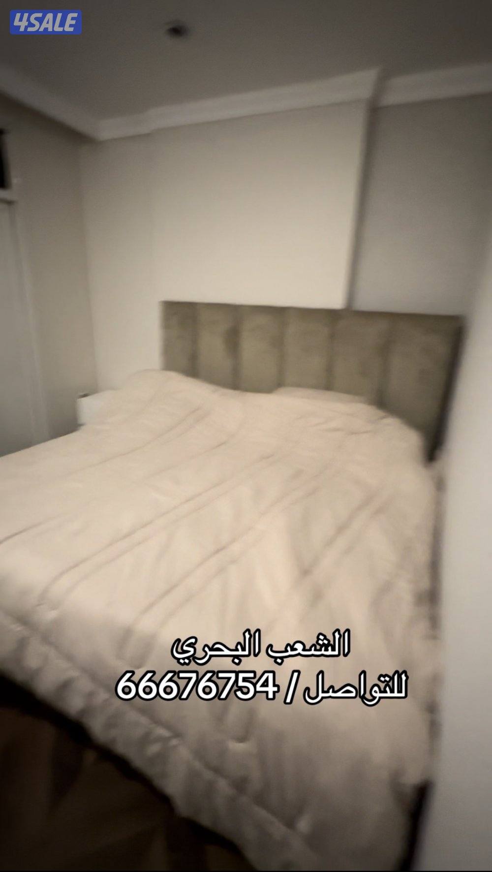 شقه خلو الشعب البحري ويوجد استوديوهات غرفه حمام مطبخ تحضيري2