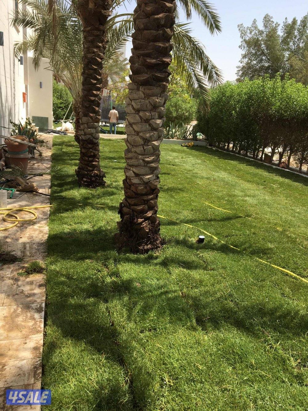 تركيب بلاط متداخل وكربستون4