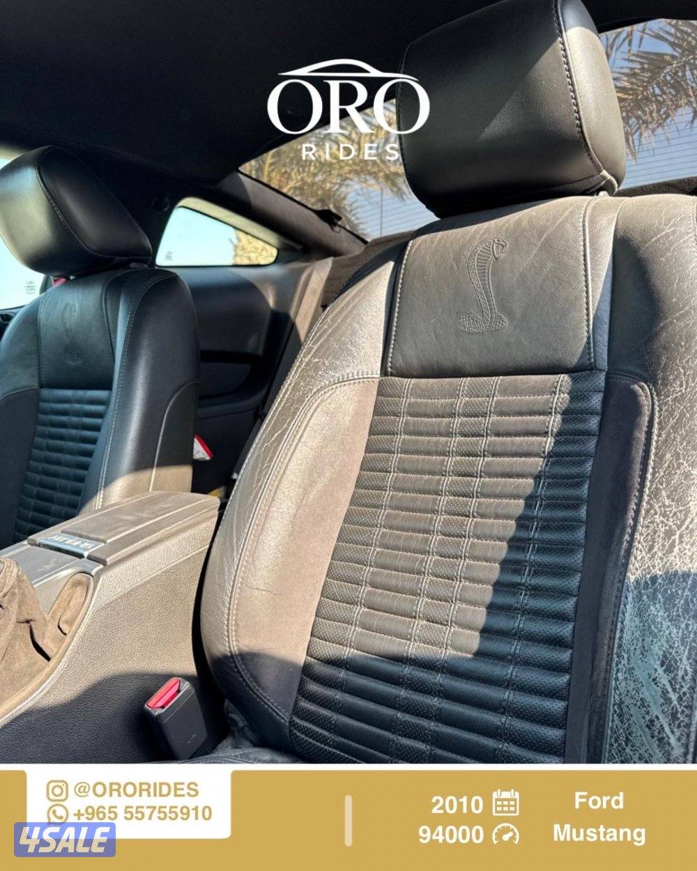 Ford Mustang Shelby GT 5004