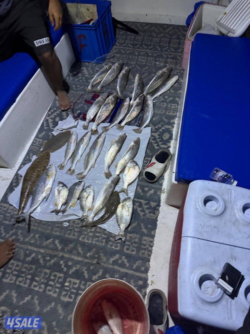 ايجار طراد وتأجير طراد3