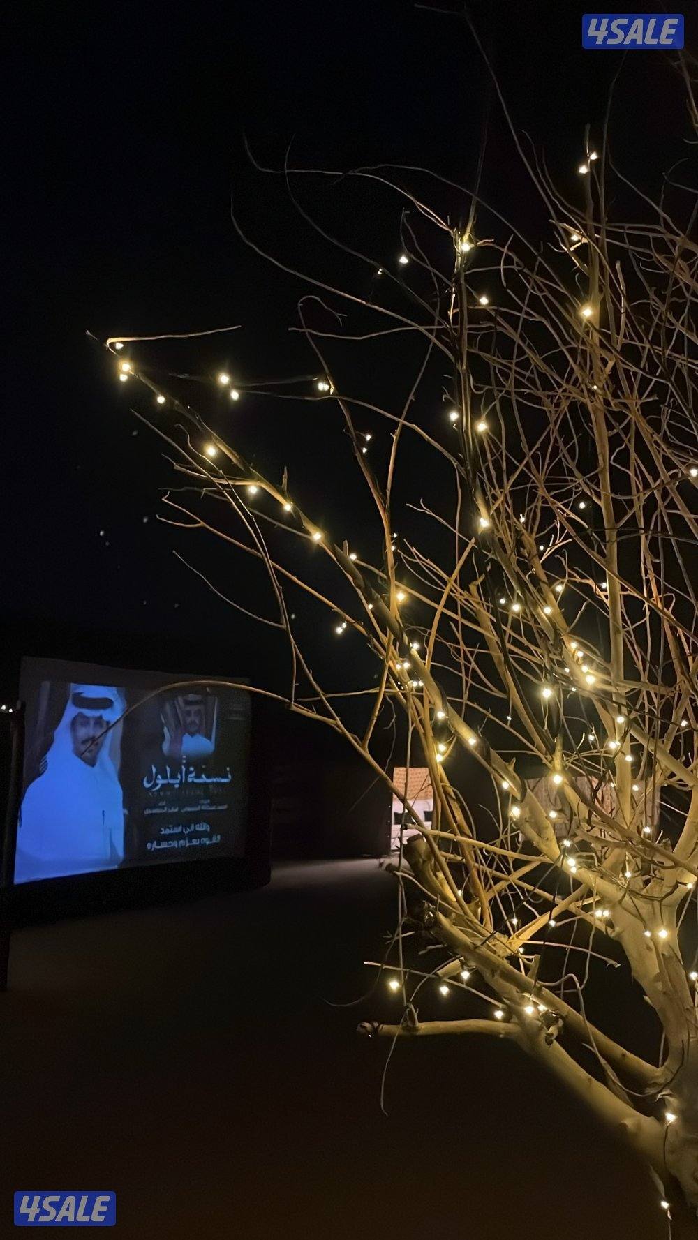 مخيم سهيل للإيجار9