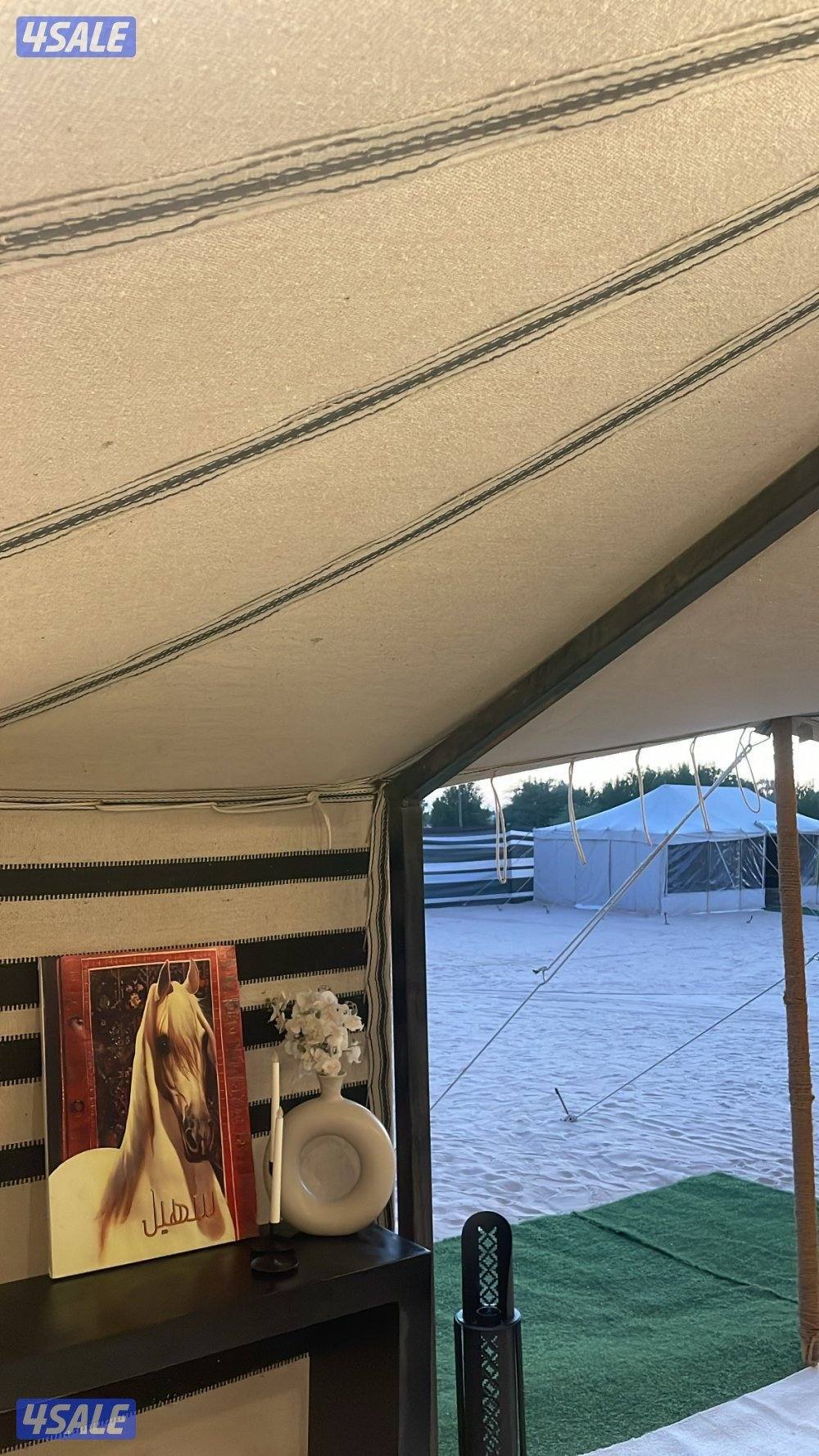 مخيم سهيل للإيجار12