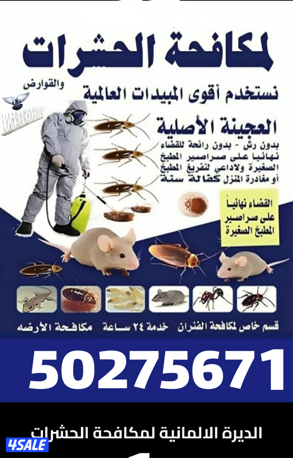 رش مبيدات ومكافحة حشرات بمبيدات آمنه مع العجينه الأصليه كفاله سنه1