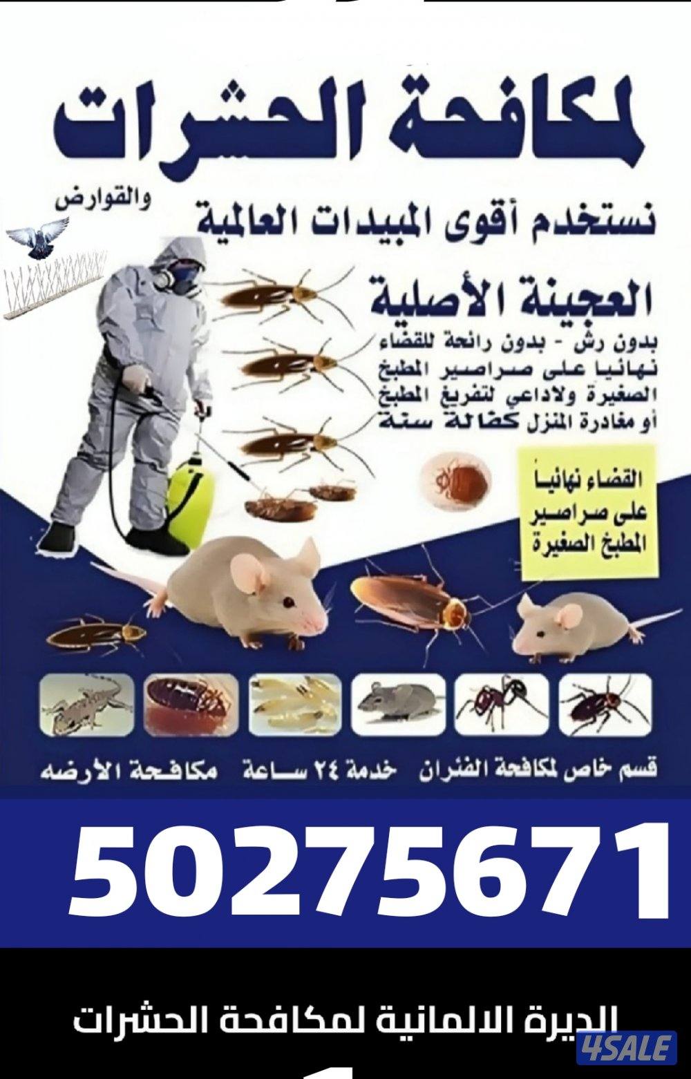 رش مبيدات ومكافحة حشرات بمبيدات آمنه مع العجينه الأصليه كفاله سنه2