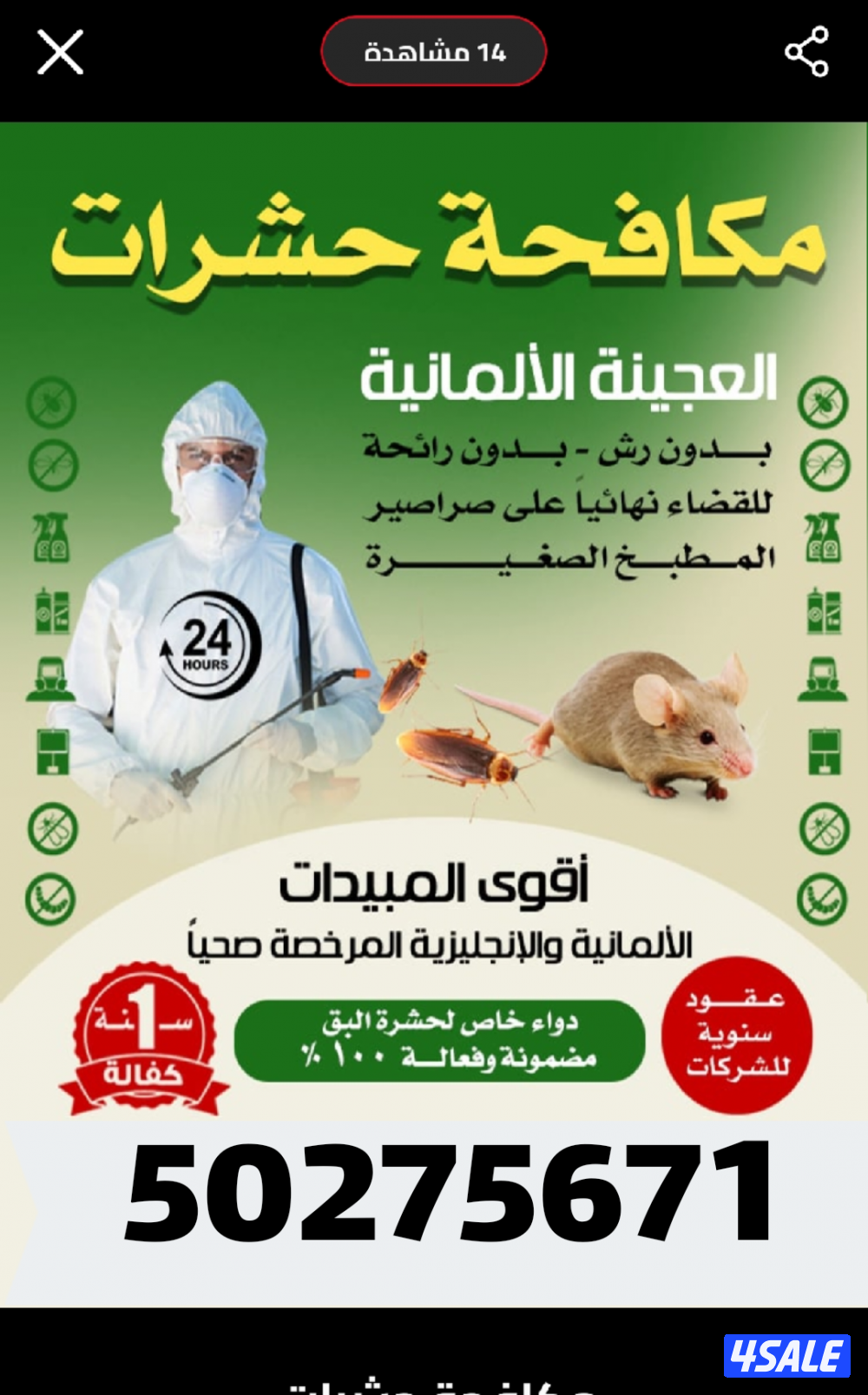 رش مبيدات ومكافحة حشرات بمبيدات آمنه مع العجينه الأصليه كفاله سنه3