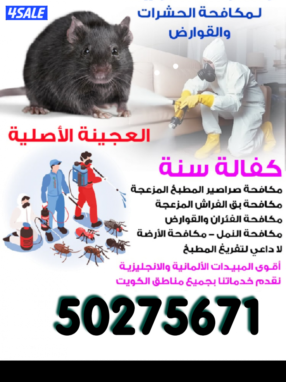 رش مبيدات ومكافحة حشرات بمبيدات آمنه مع العجينه الأصليه كفاله سنه5