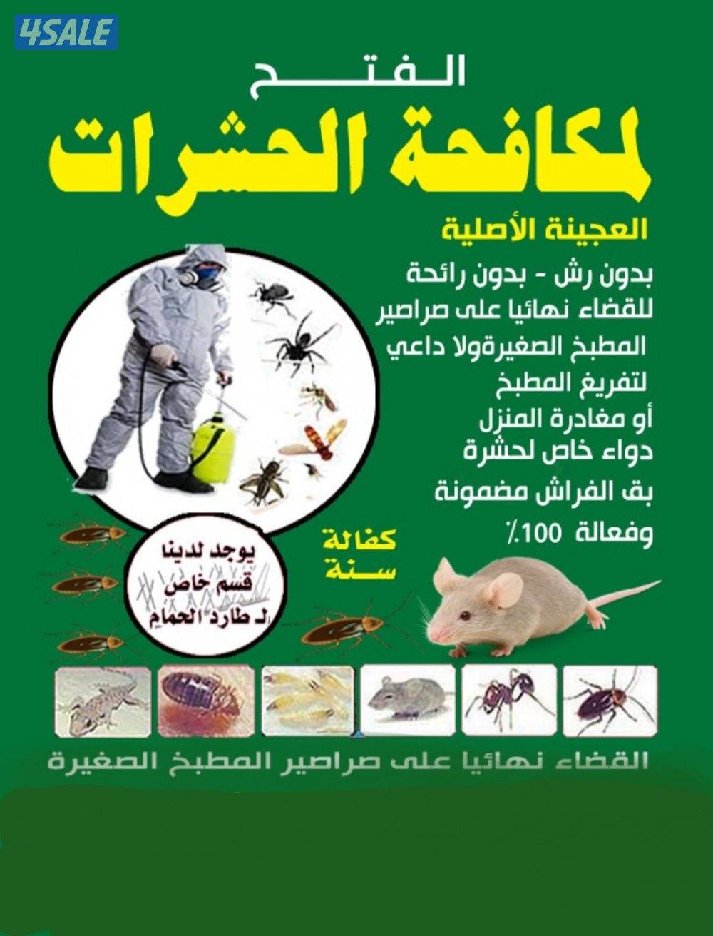 رش مبيدات ومكافحة حشرات بمبيدات آمنه مع العجينه الأصليه كفاله سنه10