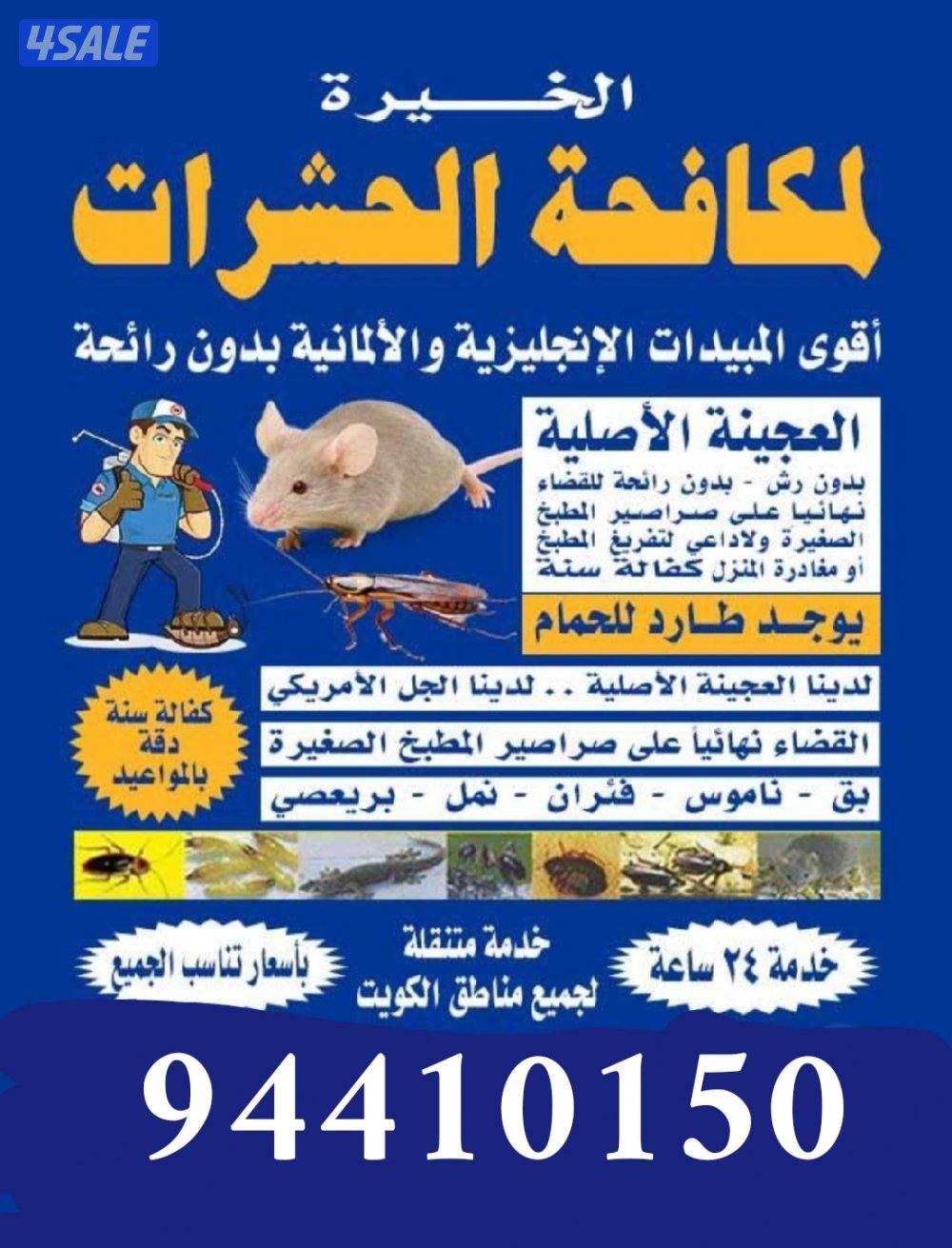 رش مبيدات ومكافحة حشرات بمبيدات آمنه مع العجينه الأصليه كفاله سنه11