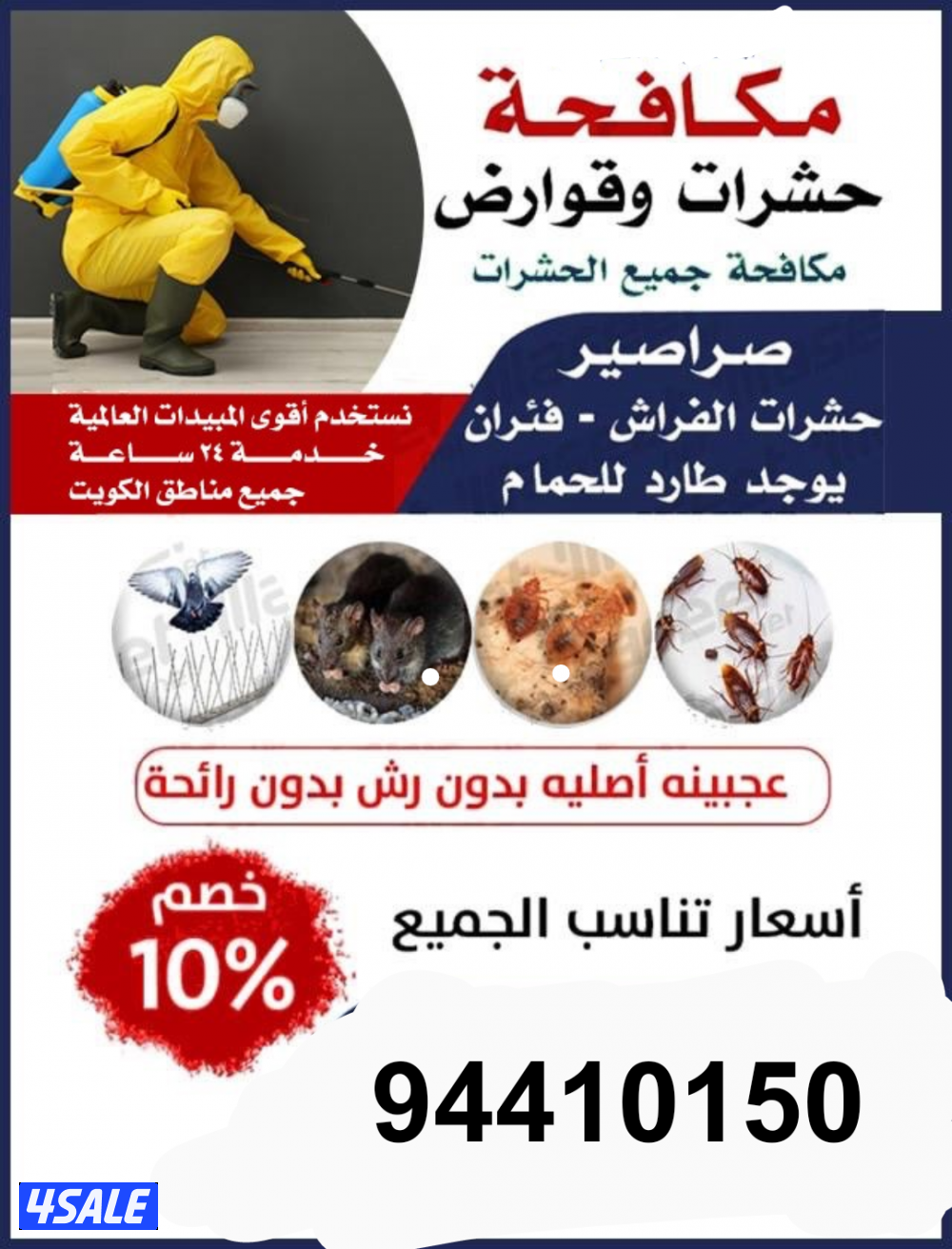 رش مبيدات ومكافحة حشرات بمبيدات آمنه مع العجينه الأصليه كفاله سنه12