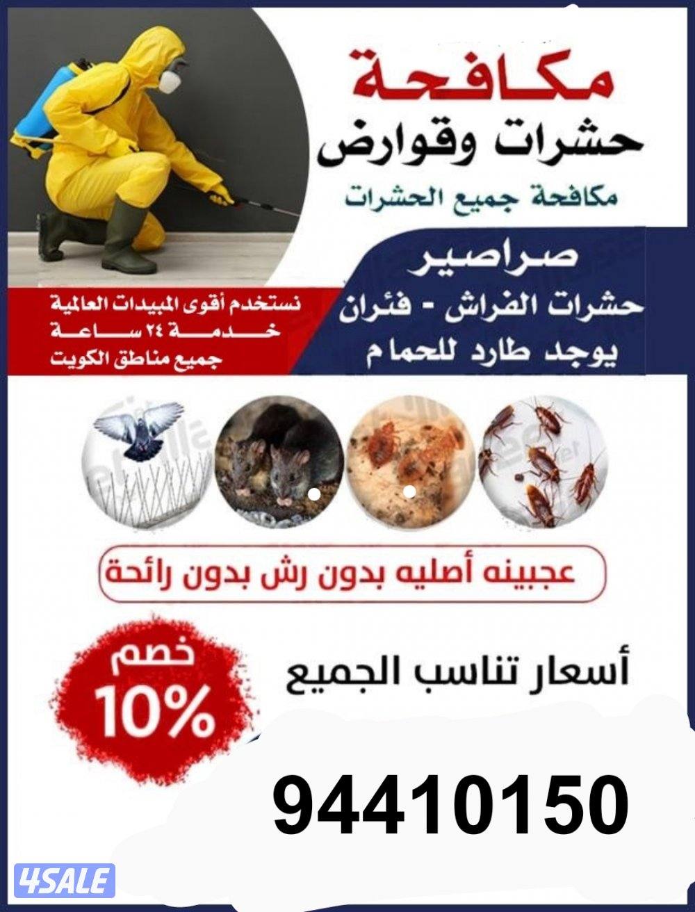 رش مبيدات ومكافحة حشرات بمبيدات آمنه مع العجينه الأصليه كفاله سنه13