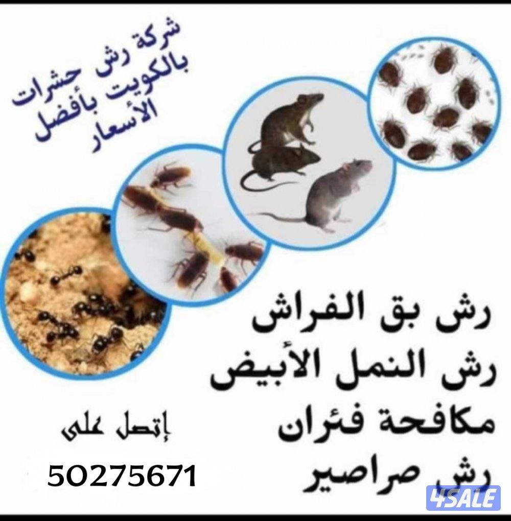رش حشرات صراصير ونمل كفاله سنه بدون رائحه مع العجينه الأصليه بالكويت6
