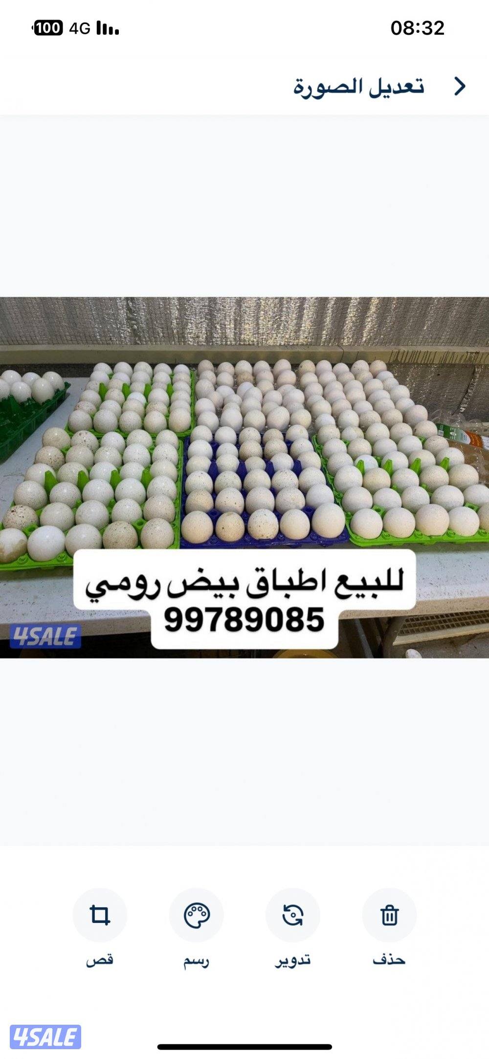 بيض رومي و فروخ رومي و مجاميع رومي1